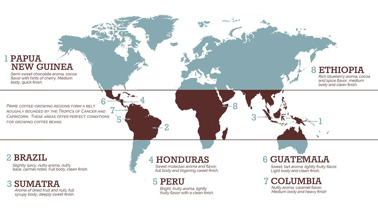 Coffee cultivation across the globe